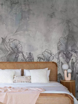 Wall Murals and Art